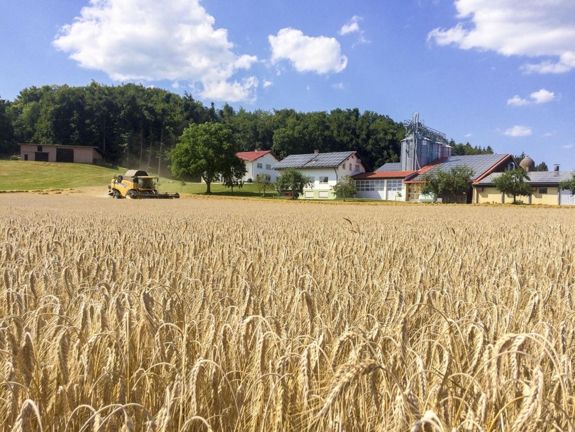 Hof Am Horn - Fewos In Der Natur Laichingen Eksteriør billede